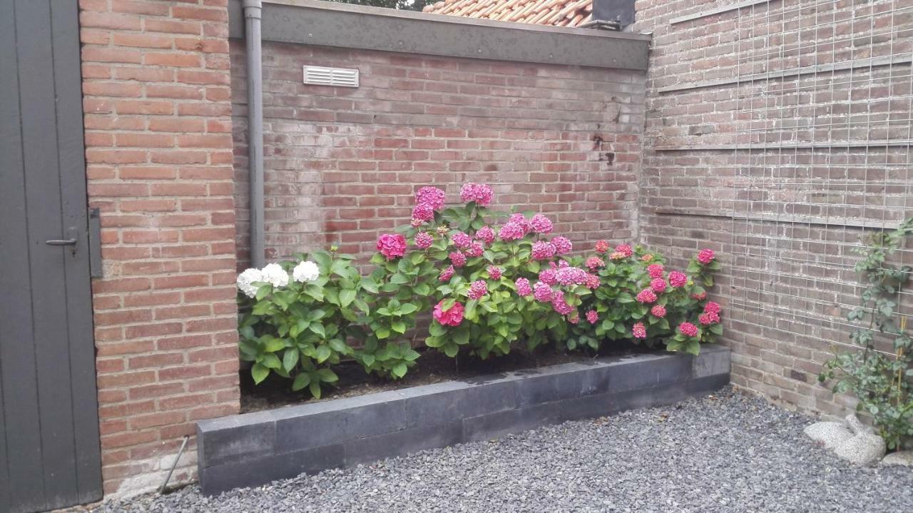 De Notenbalk Aan Zee Bed & Breakfast Vlissingen Exterior foto